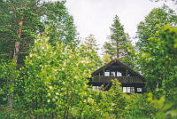 200811austheiene_foto_MariusDalseg_62.jpg