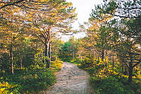 091824Gjaelentunet_fotoMariusDalseg_DNT_28.jpg