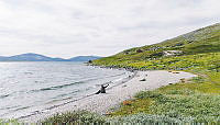 082324Saltfjellet_fotoMariusDalseg_DNT_2.jpg