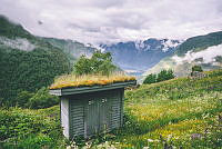 2025Sommerkontor_foto_MariusDalseg_15.jpg