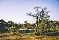 091824Gjaelentunet_fotoMariusDalseg_DNT_18.jpg