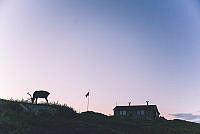 081924Trekanten_Hinnoya_fotoMariusDalseg_DNT_58.jpg